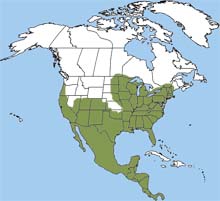 Range Map for Gray Fox