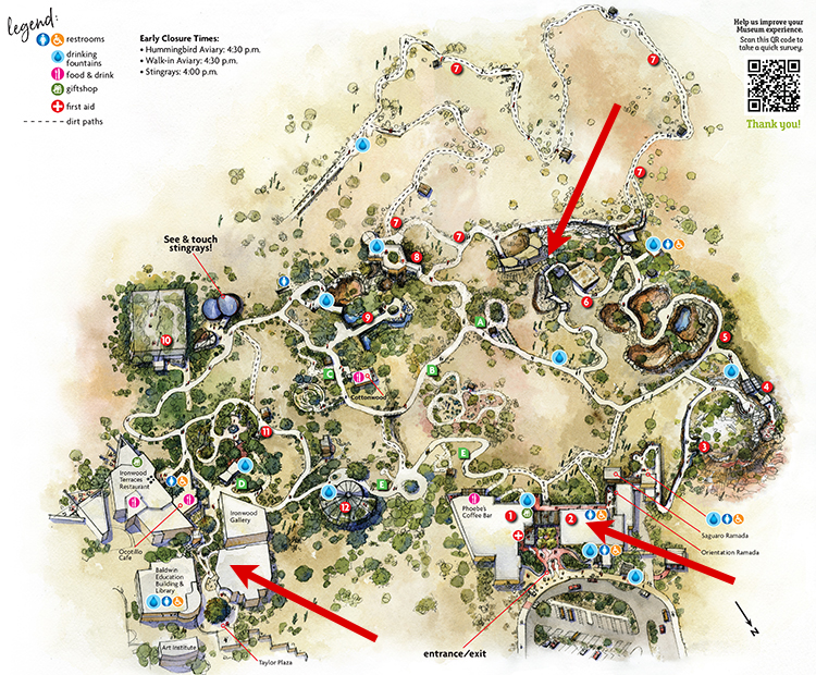 Museum map showing location of Western Diamondback Rattlesnake