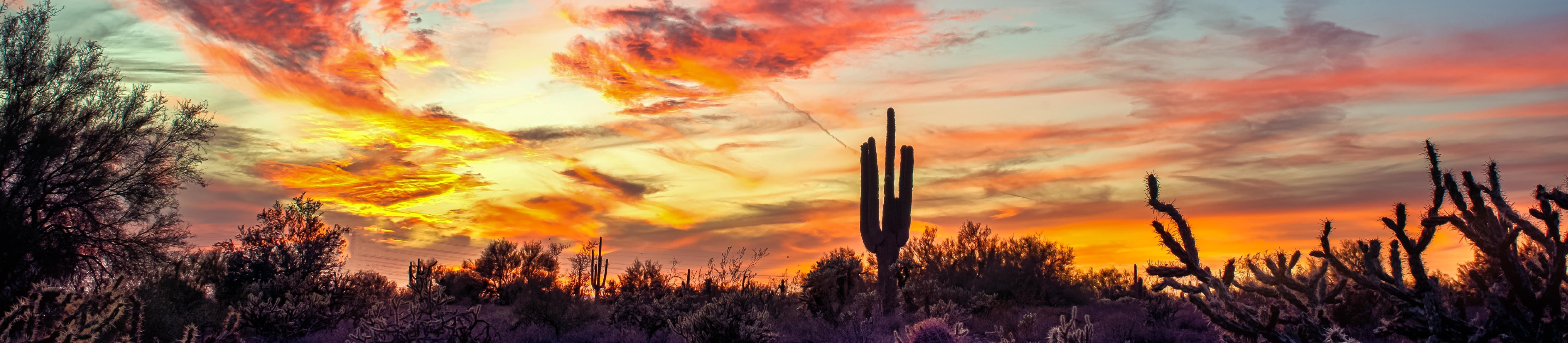 Tribute Page header image